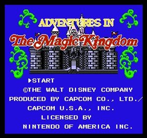Adventures in Magic Kingdom