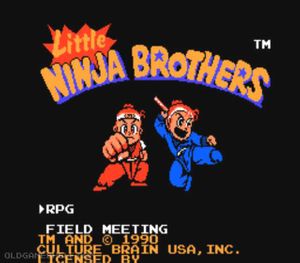 Little Ninja Brothers
