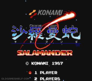 Salamander Jap