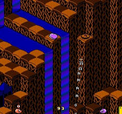 Snake Rattle and Roll