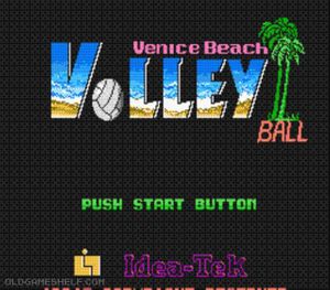 Venice Beach Volleyball