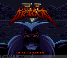 Double Dragon V - The Shadow Falls