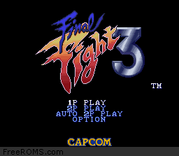 Final Fight 3