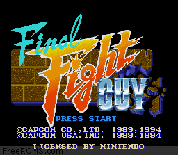 Final Fight Guy