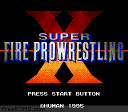Super Fire Pro Wrestling X