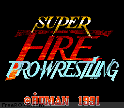 Super Fire Pro Wrestling
