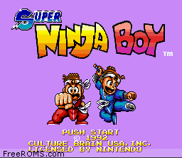 Super Ninja Boy