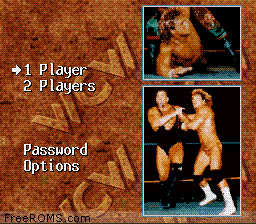 WCW Super Brawl Wrestling