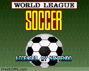 World League Soccer